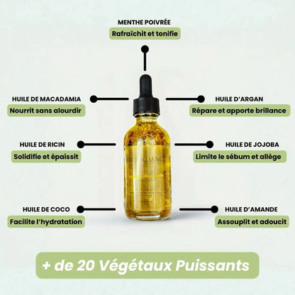 Pack KR + 1 Huile OFFERTES KurlRise